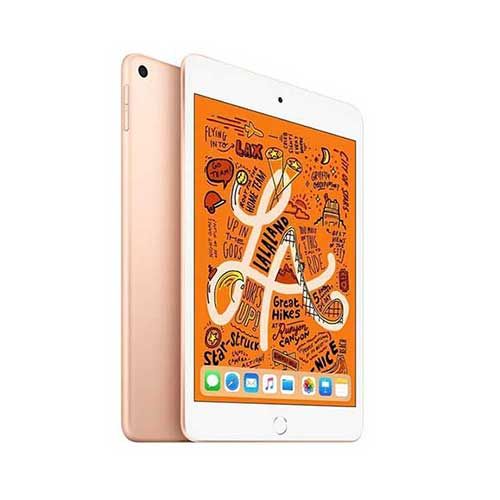 Apple iPad Mini Wi-Fi - 5th Generation